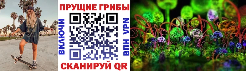 Псилоцибиновые грибы Psilocybine cubensis  даркнет сайт  Семикаракорск 